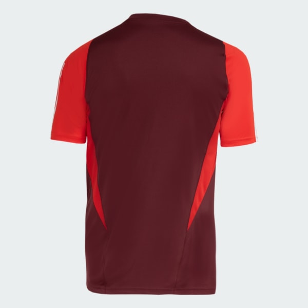 Camiseta de entrenamiento Adidas Internacional 24/25